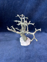 (T)Dept. 56 Village Accessories Craggy Oak Tree