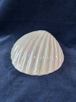Shell Trinket Box