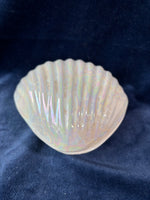 Shell Trinket Box