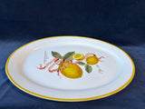 Williams Sonoma Lemon Botanical Citrus Oval Platter