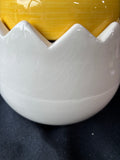 World Market Chick In Egg Cookie Jar *Read Description*