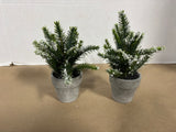 Pair Of Faux Frosted Evergreen Arrangement