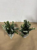 Pair Of Faux Frosted Evergreen Arrangement