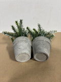 Pair Of Faux Frosted Evergreen Arrangement