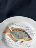 Set Of 4 World Market Ceramic Sea Life Plates