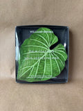 Williams Sonoma Palm Leaf Coasters Set Of 4