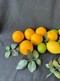 Lot Of Faux Decorative Fruit