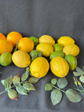 Lot Of Faux Decorative Fruit