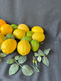 Lot Of Faux Decorative Fruit