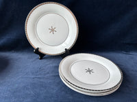 First Frost Plate Set 8 PCs