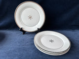 First Frost Plate Set 8 PCs