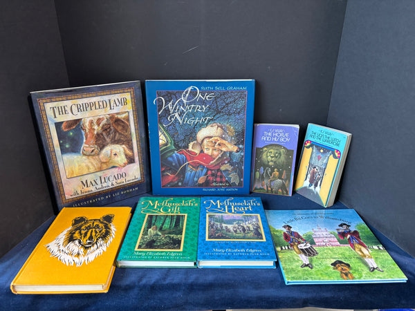 Children’s Book Lot (8)