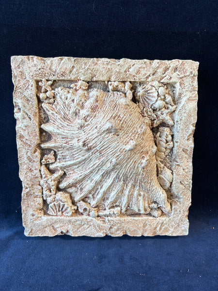 Lightweight Seashell Wall Plaque
