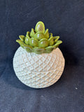 Grasslands Roads Ceramic Jar w/Knife