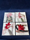 Set Of 4 Floral Coasters With Holder *Read Description*
