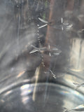 Clear Glass Water Pitcher Etched W/School Of Fish