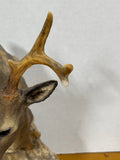 "Quiet Solace"  Whitetail Deer Bust Sculpture by L.E. Randy Reading 1040/4000
