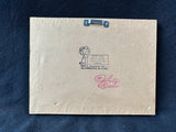 Primitive Housework Makes You Ugly Edith Framed Cross Stitch