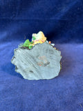 Frog With A Dog Hunting Resin Figurine *Read Description*
