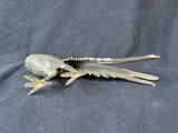 Metal Pheasant Bird Figurine Silver Tone (A)