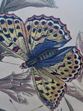 Butterflies & Flowers Print / Distressed Light Green Frame