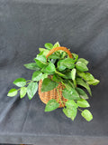 Faux Greenery In Basket W/Handle