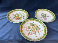 Set Of 6 Two's Company Hand Painted Botanical Decorative Plates