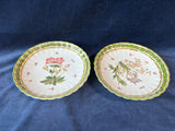 Set Of 6 Two's Company Hand Painted Botanical Decorative Plates
