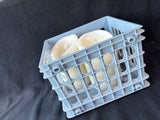 Pair Of Luminara Flameless Candles,Works (E) *Read Description*
