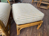 Rattan Chair and Ottoman by Tradewinds with Slip Cover (C)