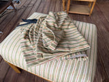 Rattan Chair and Ottoman by Tradewinds with Slip Cover (A)