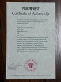 Bright Sunshine Day by David Najar - signed Giglee with COA