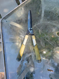 Hedge Shears