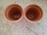 Two Terracotta Planter Pots (C)