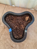 G- Clover Shaped Heavyweight Glazed Terracotta Planter