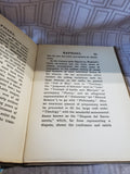 Lot of Children's Books