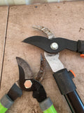 Two Pairs of Loppers