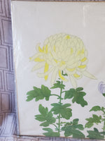 (B) Japanese Chrysanthemum Print