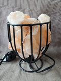 Pink Salt Metal Wire Lamp WORKS