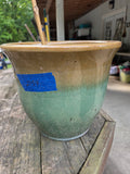 Large Glazed Green/Tan Terracotta Planter w/dirt