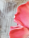 Porcelain Pink Flower Figurine