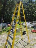 Werner 10' Fiberglass Ladder