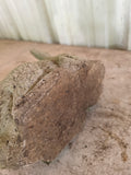 Cement Sitting Bunny Garden Statue