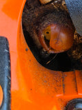 STIHL SH85 Blower **Read Description **