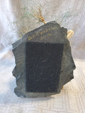 Signed Metal Wire Bonsai Tree Sculpture