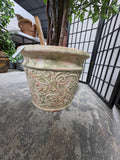 6' Faux Ming Aralia Tree in Heavyweight Decorative Terracotta Pot