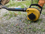 Eager Beaver Gas Blower