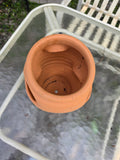 Terracotta Strawberry Planter
