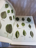The Random House Book of Trees of North America