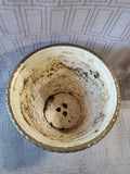 Franciscan "Desert Rose" Planter